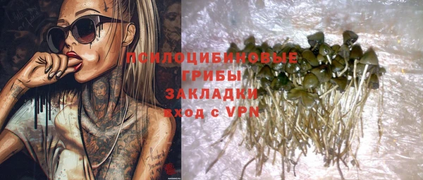 дживик Остров