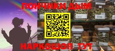 гидра Гатчина