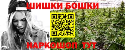 гидра Гатчина