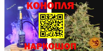 спиды Гагарин