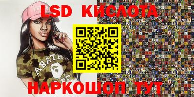 гидра Гатчина