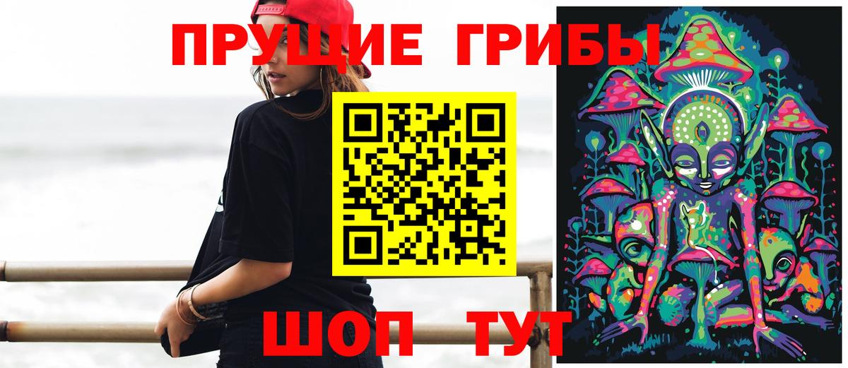где можно купить наркотик  Вход с VPN  Алапаевск  Псилоцибиновые грибы Psilocybine cubensis 